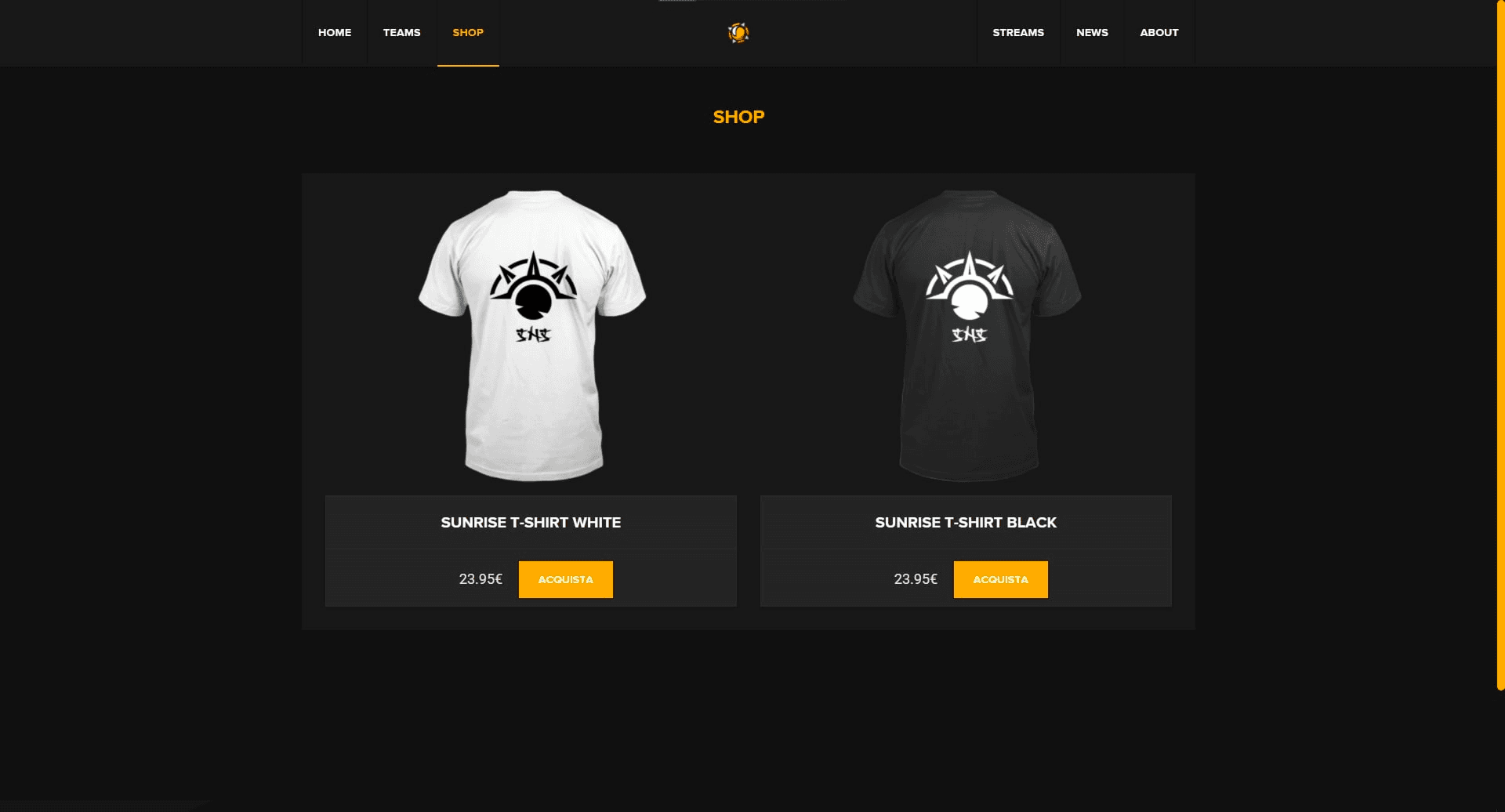 sunriseteam.it screenshot