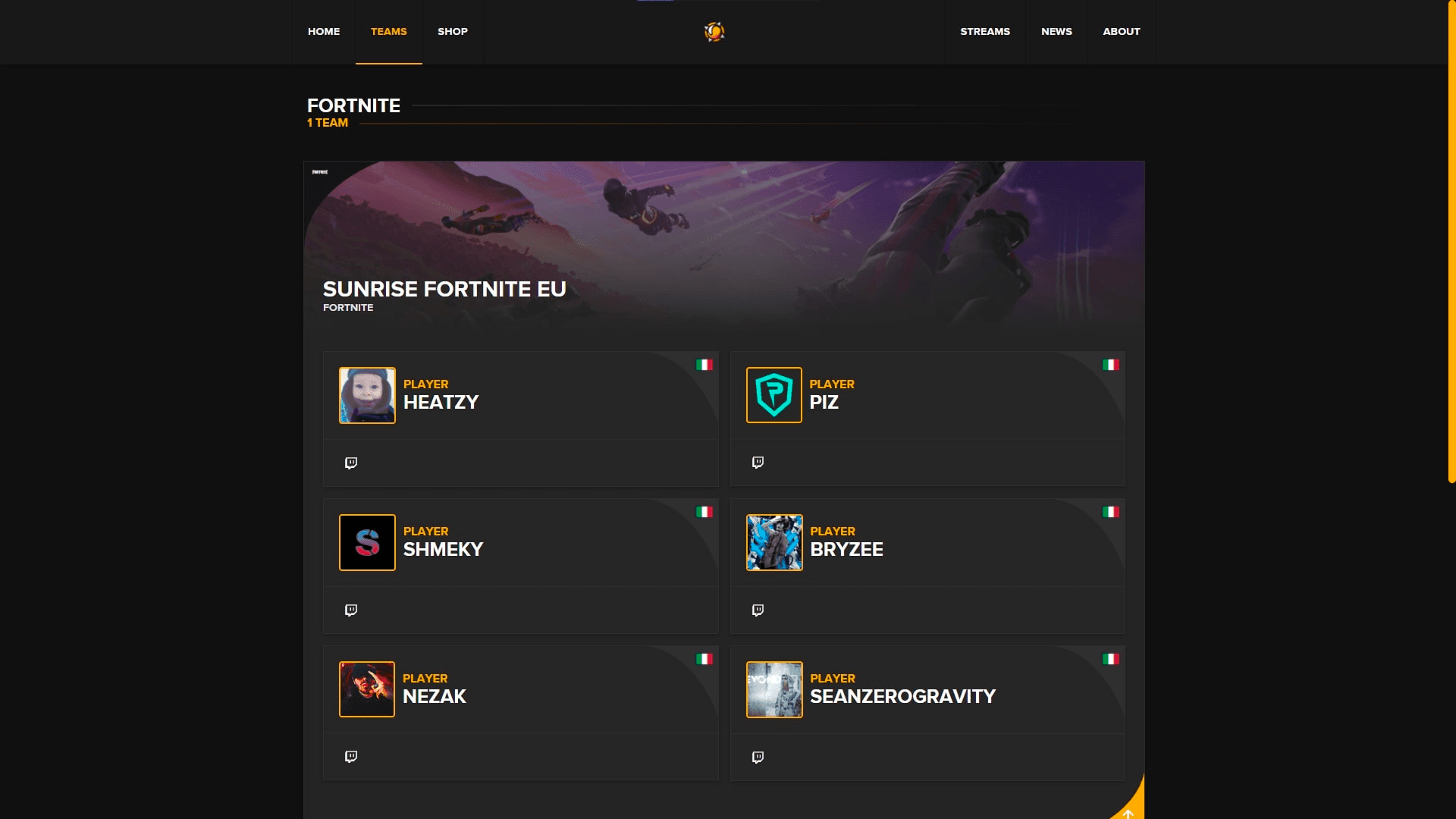 sunriseteam.it screenshot